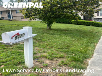 Grass Cut nearby Chattanooga, GA, 