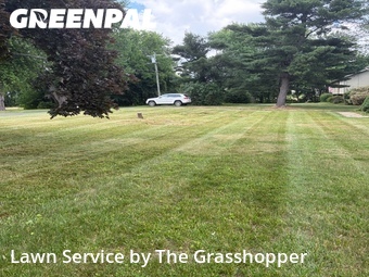 Lawn mowed in Ellington, 6029