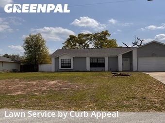 Lawn Mow nearby Spring Hill, FL, 