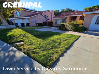 Work completed by grass-cutting-businesses-in-Palmdale-CA