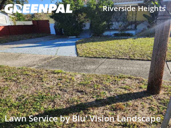 Lawn Mowing Servicein Tampa,33602,Grass Cut by Blu' Vision Landscape, work completed in Dec , 2025