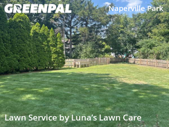 Yard Mowing nearby Naperville, IL, 