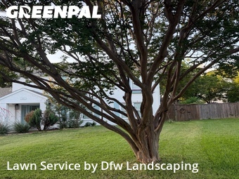 Lawn Maintenancein Richardson,75081,Yard Cutting by Dfw Landscaping , work completed in Jun , 2026