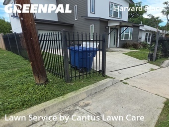 Grass Cutting nearby San Antonio, TX, 