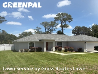 Grass Cut nearby Ocala, FL, 