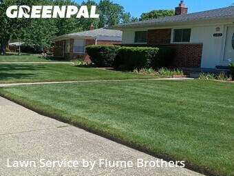 Lawn Cutting nearby Clinton Township, MI, 