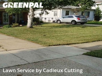 Lawn Maintenance nearby Clawson, MI, 