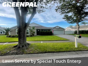 Yard Mowing nearby Palm Harbor, FL, 