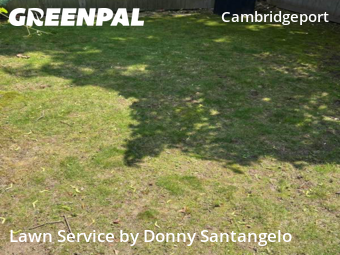 Turf Services in Cambridge, 2139, Lawn Cutting by Santangelo, work completed in Nov , 2025