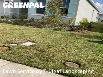 Lawn Mow nearby Parrish, FL, 