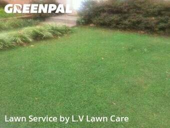 Grass Cutting nearby Fairfax, VA, 