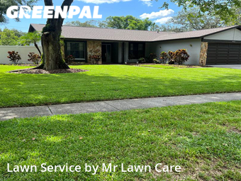 Lawn Mowing Service nearby Tampa, FL, 