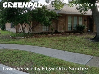 Lawn Care Servicein Plano,75075,Yard Mowing by Edgar Ortiz Sanchez, work completed in Jun , 2026