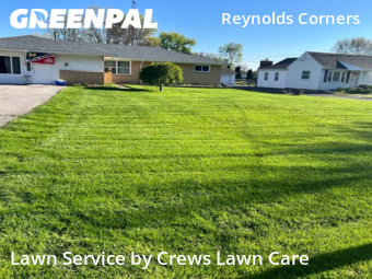 Lawn Service nearby Toledo, OH, 