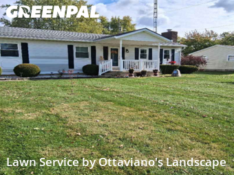 Yard Work in Marion, 43302, Yard Mowing by Ottaviano's Landscape, work completed in Nov , 2025