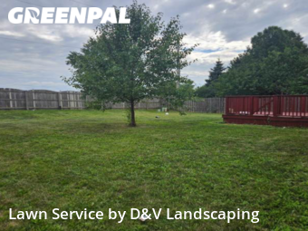Lawn Mowing Service nearby Crest Hill, IL, 