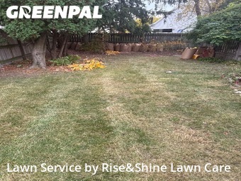 Grass Care in Champaign, 61822, Lawn Management by Rise&Shine Lawn Care, work completed in Nov , 2025