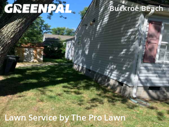 Lawn Cut nearby Hampton, VA, 