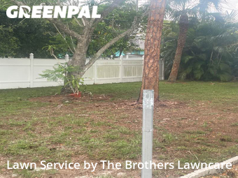 Lawn Care Service nearby Naples, FL, 