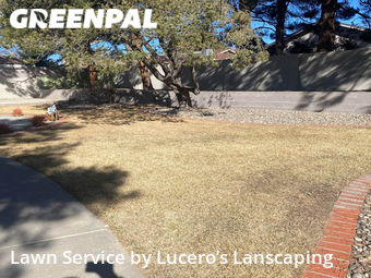 Yard Mowing nearby Albuquerque, NM, 