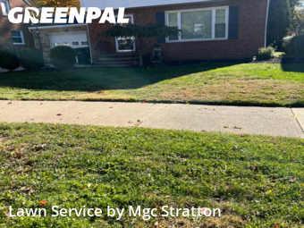 Lawn Mow nearby Lyndhurst, OH, 