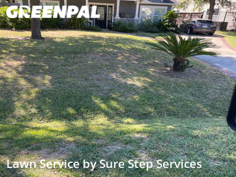 Lawn Maintenance nearby Houston, TX, 