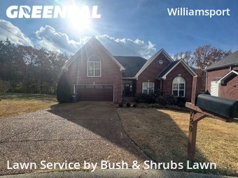Lawn Maintenancein Nashville,37221,Lawn Cutting by Bush & Shrubs Lawn, work completed in Dec , 2025