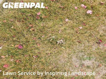 Lawn Mowingin Aurora,80016,Lawn Care Service by Inspiring Landscape, work completed in Dec , 2025