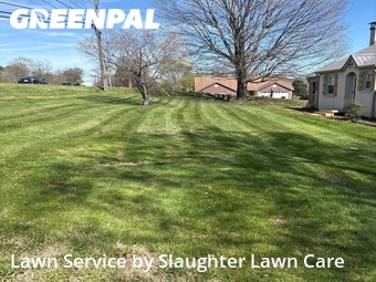 Yard Cutting nearby Powell, TN, 