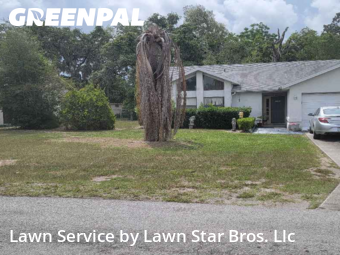 Yard Cutting nearby Spring Hill, FL, 