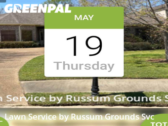 Lawn Cutting nearby Brandon, MS, 