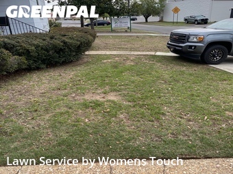 Grass Cutting nearby Tuscaloosa, AL, 