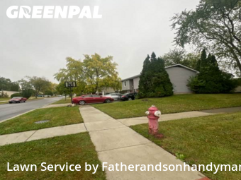 Property Maintenance in Streamwood, 60107, Grass Care by Fatherandsonhandyman, work completed in Nov , 2025