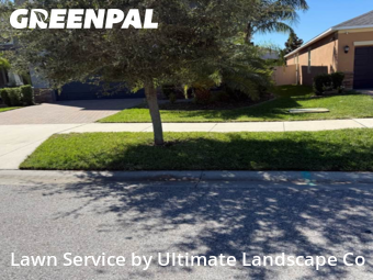 Yard Care Services in Ruskin, 33573, Yard Upkeep by Ultimate Landscape Co, work completed in Nov , 2025