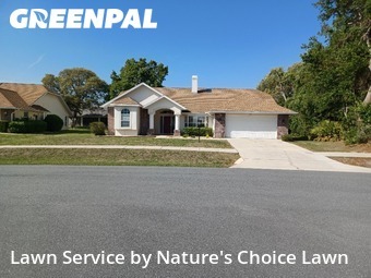 Lawn Cut nearby Beverly Hills, FL, 