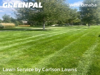 Lawn Cut nearby Omaha, NE, 