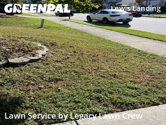 Lawn Service nearby Knightdale, NC, 