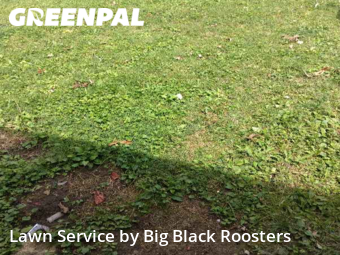 Grass Cut nearby Middletown, OH, 