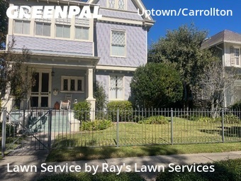 Grass Cutting nearby New Orleans, LA, 