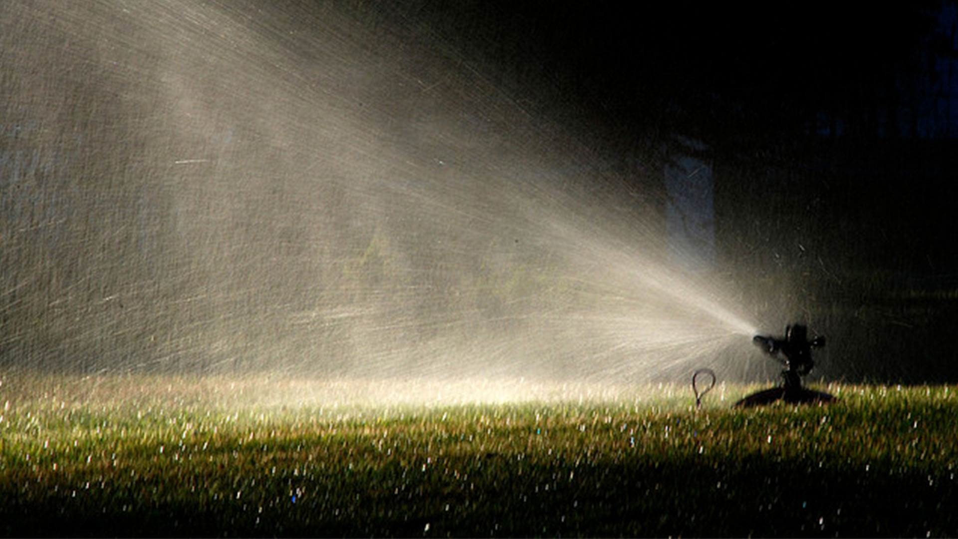 The Ultimate Guide to Choosing the Perfect Sprinkler for Your Lawn
