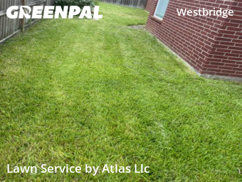 Yard Cutting nearby Houston, TX, 