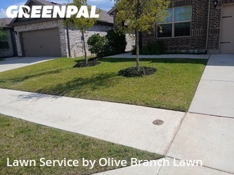 Lawn Cut nearby Fort Worth, TX, 