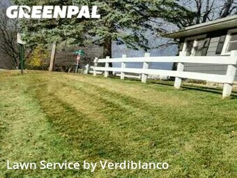 Grass Cut nearby Madison, WI, 
