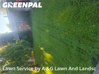 Lawn Care Service nearby Cincinnati, OH, 