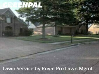 Grass Cut nearby Collierville, MS, 