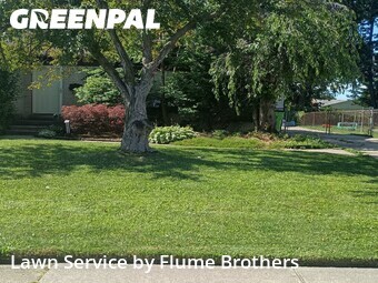 Lawn Care Service nearby Roseville, MI, 