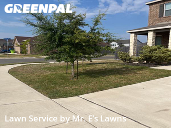 Grass Cutting nearby San Antonio, TX, 