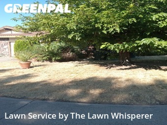 Lawn Mow nearby Sacramento, CA, 