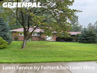 Grass Cutting nearby Parma, OH, 