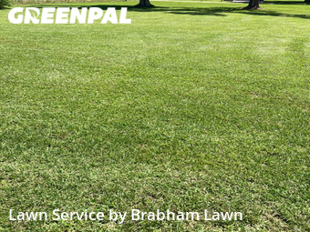 Yard Cutting nearby Gonzales, LA, 